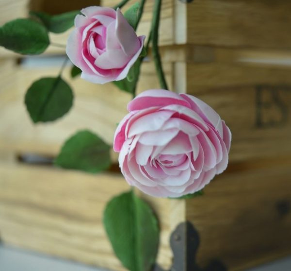 Suzanne Esper Rose 2
